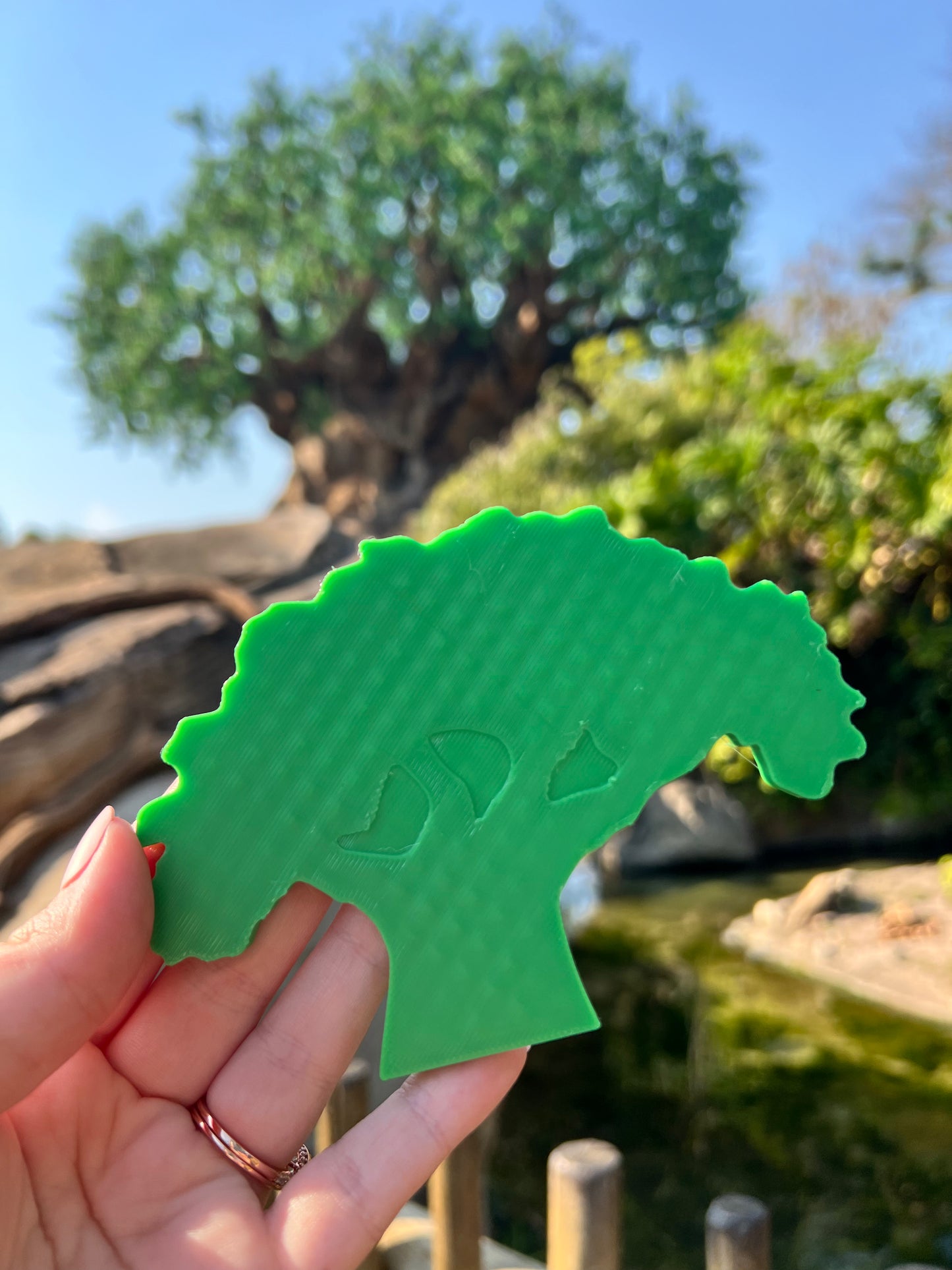 Park Pin Trading Boards