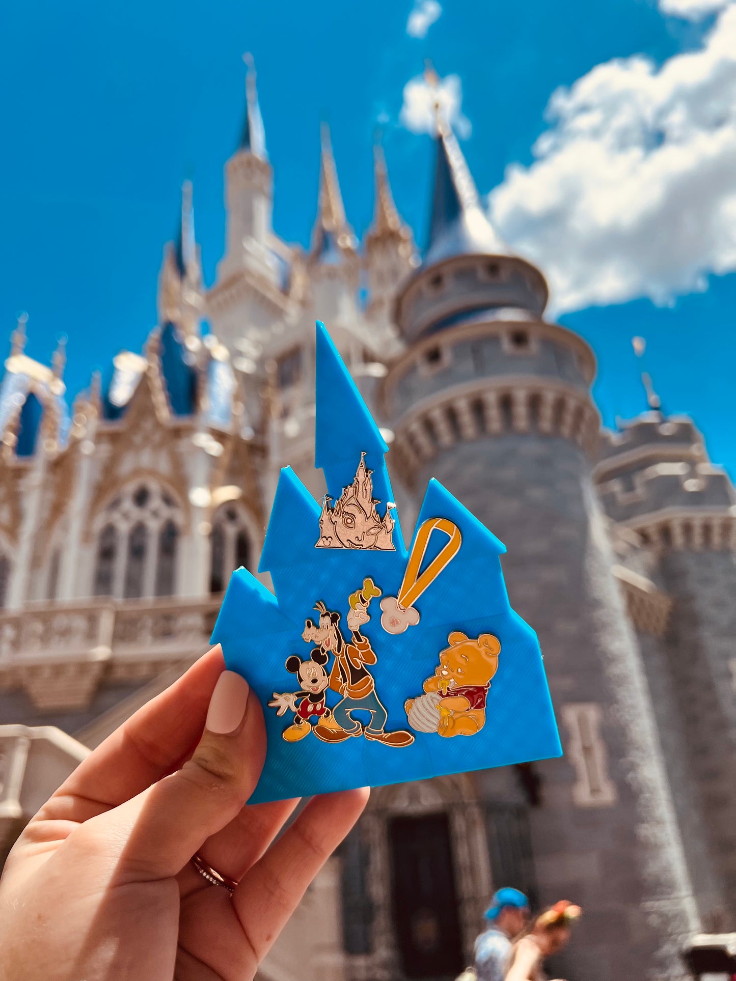 Park Pin Trading Boards