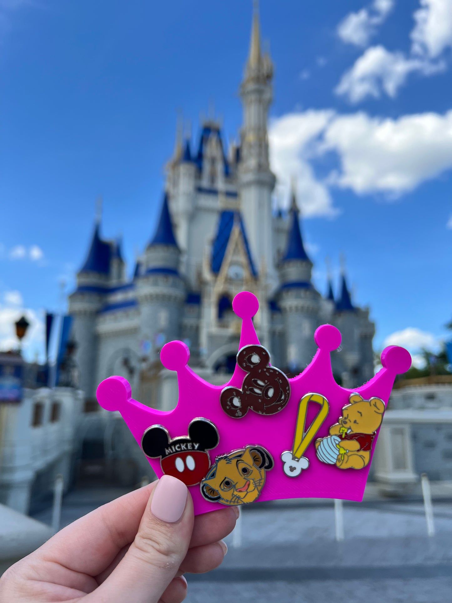 Park Pin Trading Boards