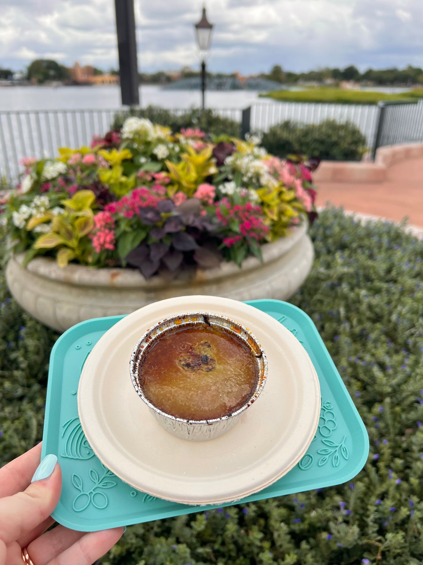 Food & Wine Festival Trays